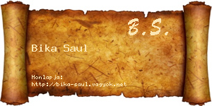 Bika Saul névjegykártya